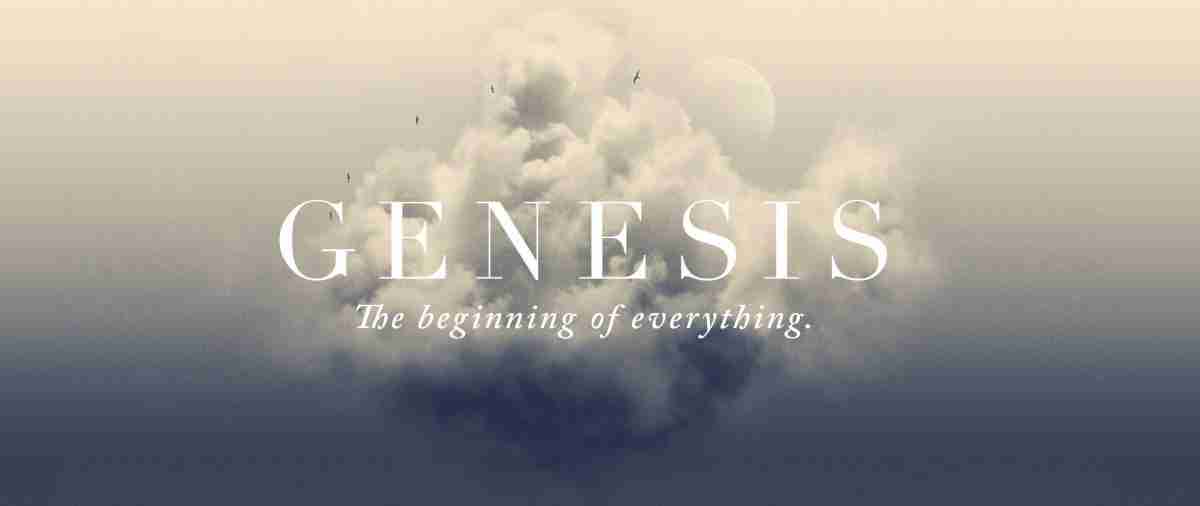 Genesis Sermon Series - VIVE Houston